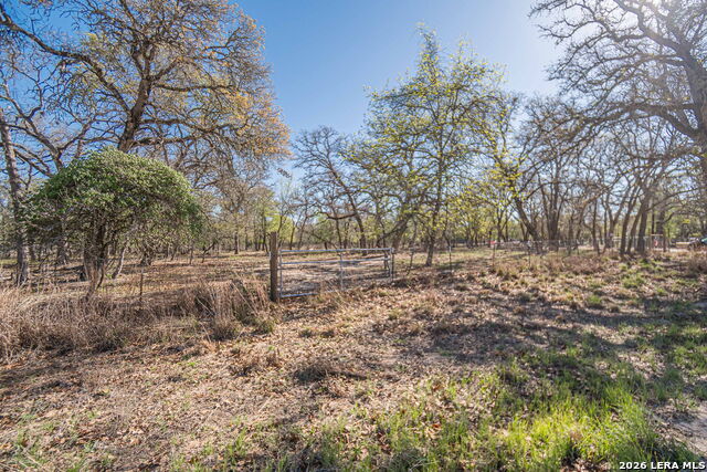 Image 11 of 24 For 526 Turkey Tree