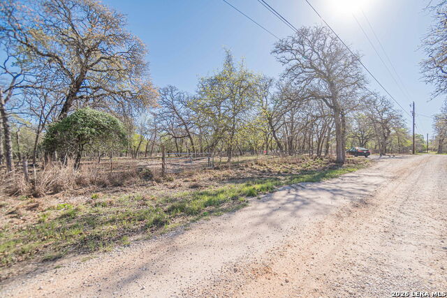 Image 12 of 24 For 526 Turkey Tree