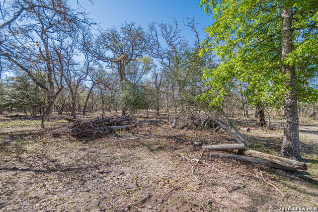 Image 15 of 24 For 526 Turkey Tree