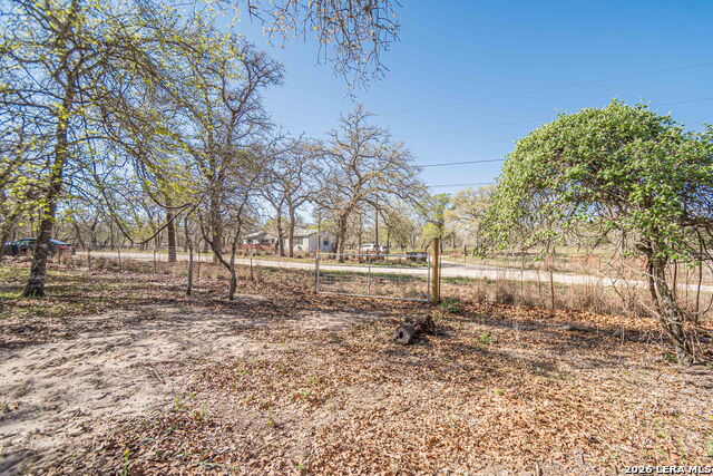 Image 22 of 24 For 526 Turkey Tree