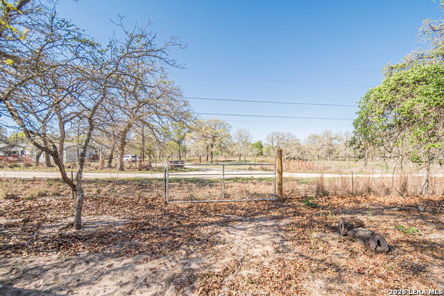 Image 23 of 24 For 526 Turkey Tree