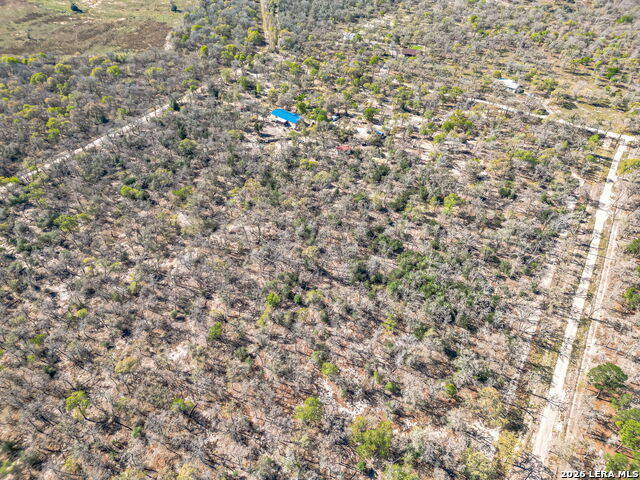 Image 5 of 24 For 526 Turkey Tree