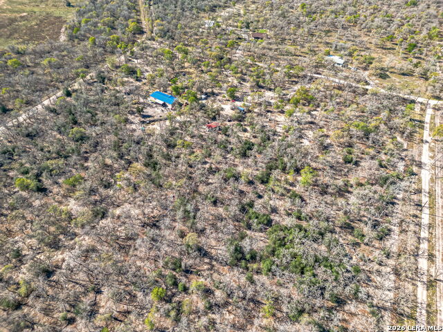 Image 6 of 24 For 526 Turkey Tree