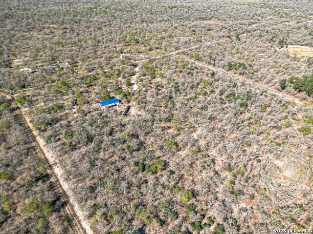 Image 7 of 24 For 526 Turkey Tree