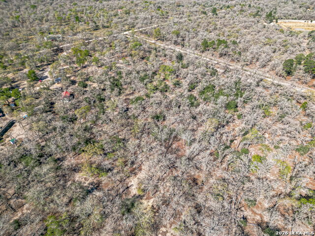 Image 8 of 24 For 526 Turkey Tree