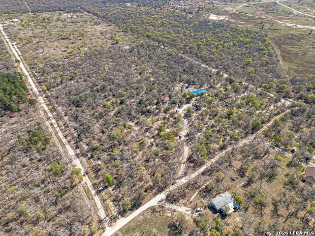 Image 9 of 24 For 526 Turkey Tree