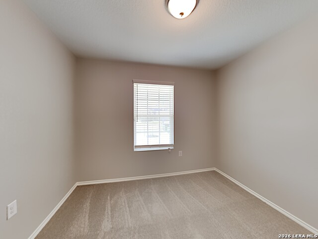 Image 10 of 16 For 6815 Hibiscus