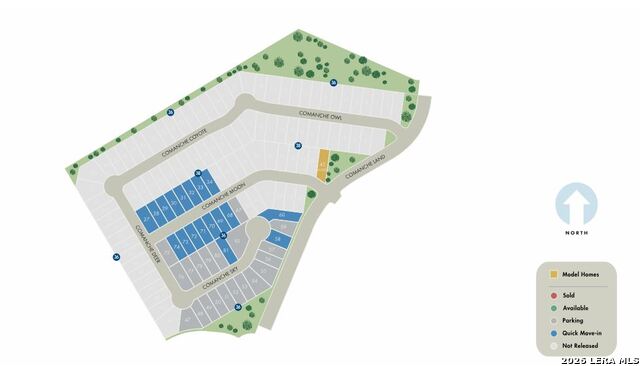 Image 35 of 35 For 6343 Comanche Coyote