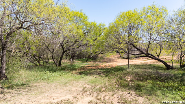 Image 9 of 17 For 7468 Real  