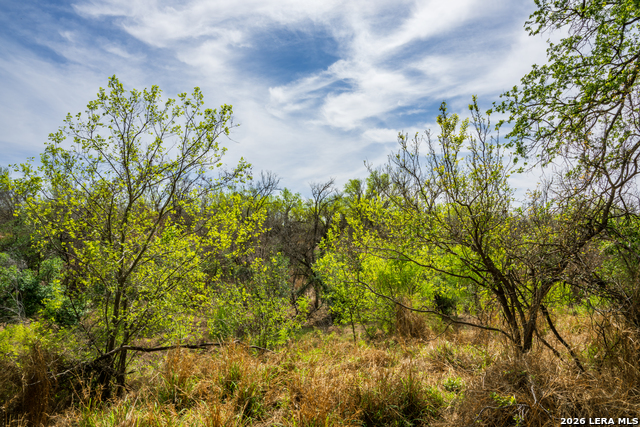 Image 11 of 47 For 994 Marburger