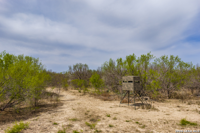 Image 12 of 47 For 994 Marburger