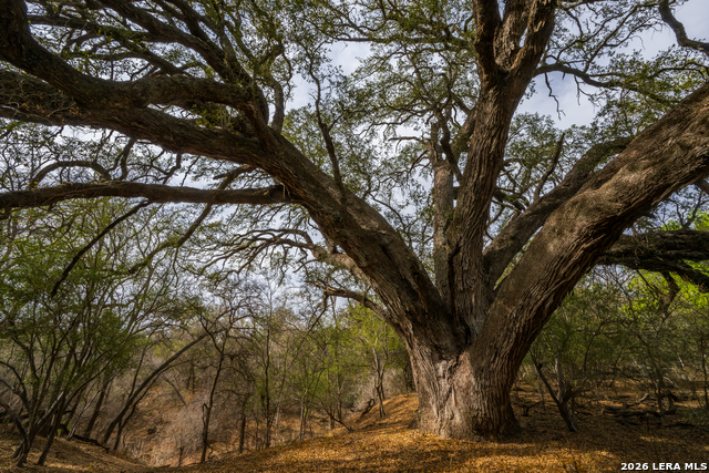 Image 2 of 47 For 994 Marburger