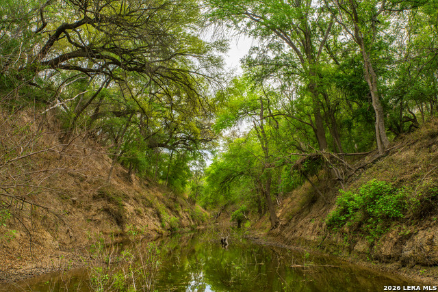 Image 35 of 47 For 994 Marburger