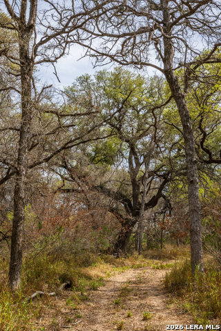 Image 38 of 47 For 994 Marburger