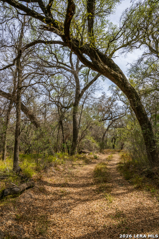 Image 39 of 47 For 994 Marburger