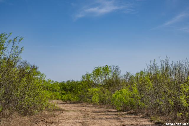 Image 40 of 47 For 994 Marburger