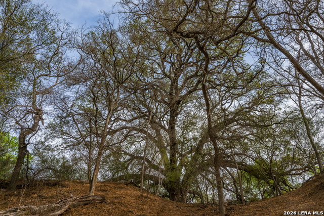 Image 44 of 47 For 994 Marburger