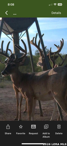 Image 45 of 47 For 994 Marburger