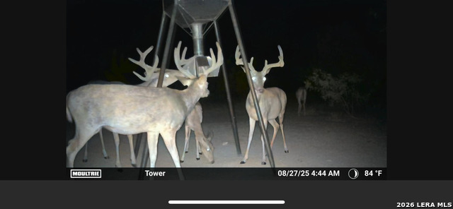 Image 46 of 47 For 994 Marburger