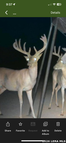 Image 47 of 47 For 994 Marburger