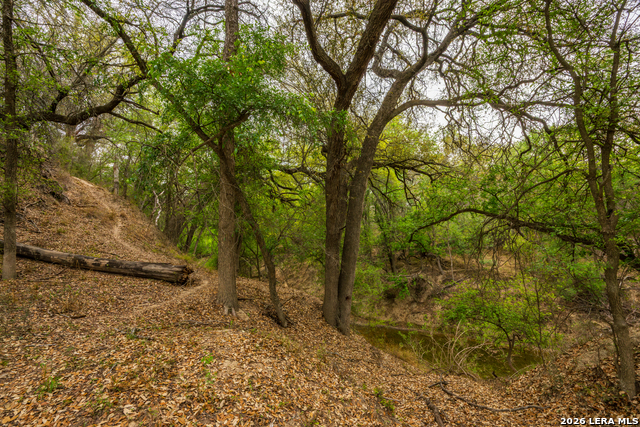 Image 6 of 47 For 994 Marburger