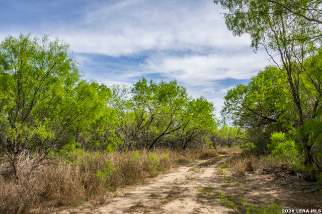Image 9 of 47 For 994 Marburger