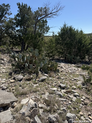 Image 4 of 6 For 241 County Road