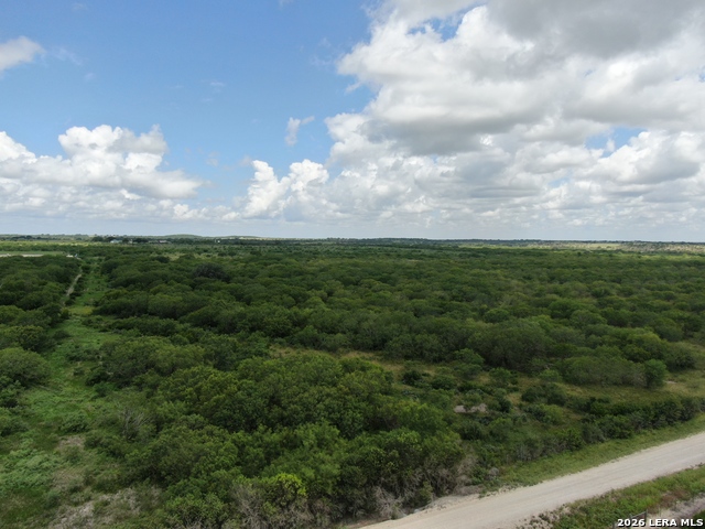 Details for Tract 8 Tbd Cr 208, Hobson, TX 78117