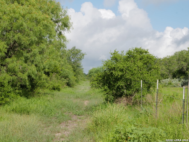 Image 3 of 7 For Tract 8 Tbd Cr 208