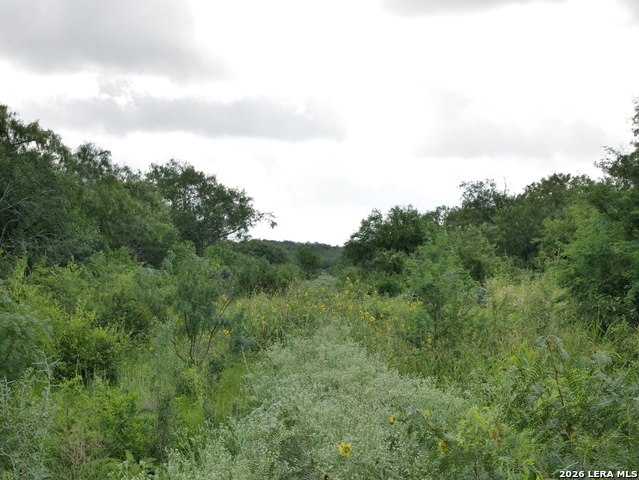 Image 5 of 7 For Tract 8 Tbd Cr 208