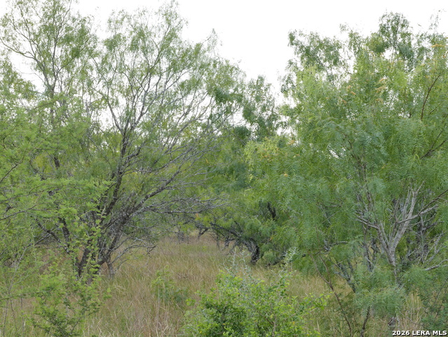 Image 6 of 7 For Tract 8 Tbd Cr 208