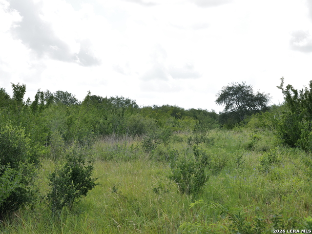 Image 7 of 7 For Tract 8 Tbd Cr 208