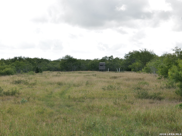 Listing photo id 12 for Tbd Cr 208  