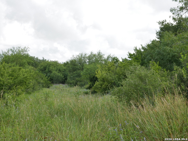 Listing photo id 13 for Tbd Cr 208  