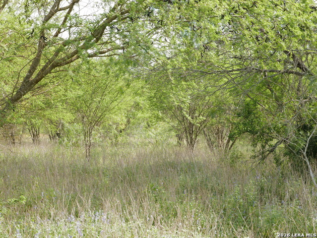 Listing photo id 14 for Tbd Cr 208  