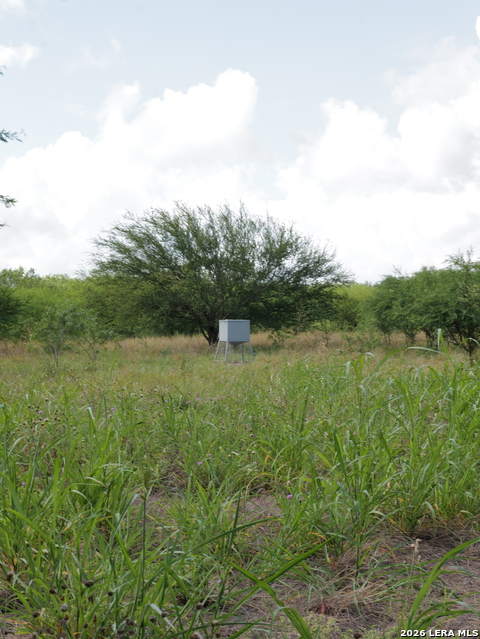 Listing photo id 17 for Tbd Cr 208  