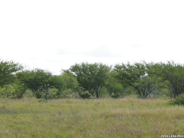 Listing photo id 18 for Tbd Cr 208  