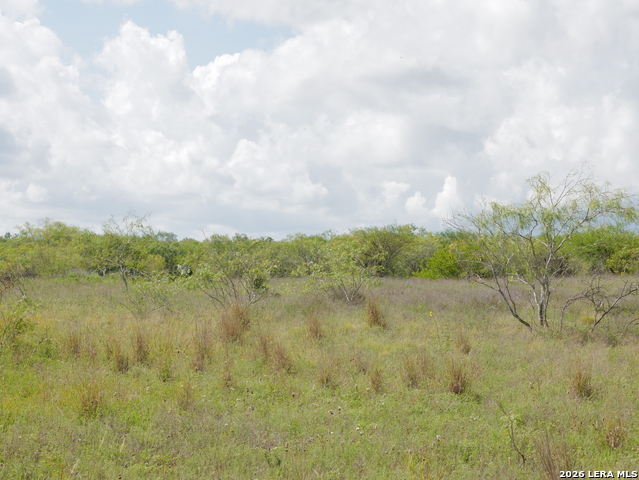 Listing photo id 19 for Tbd Cr 208  