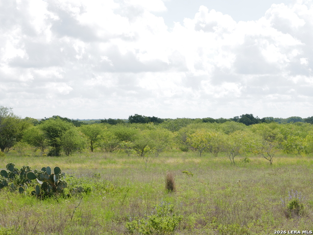 Listing photo id 20 for Tbd Cr 208  