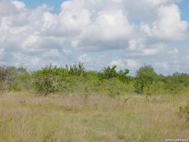 Listing photo id 21 for Tbd Cr 208  