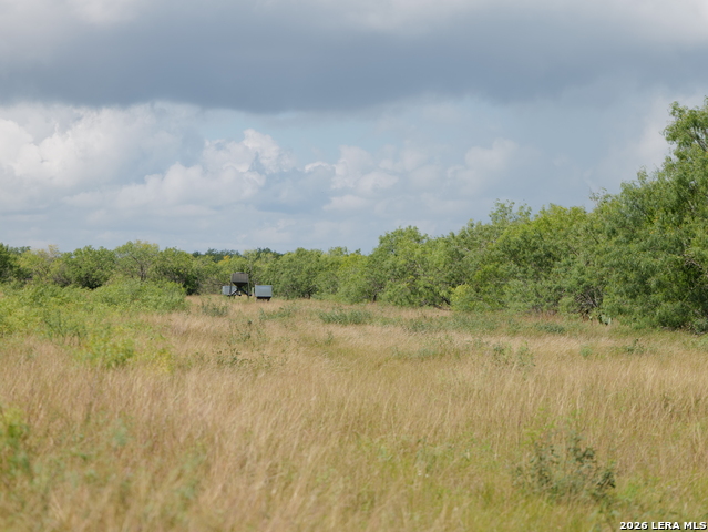 Listing photo id 22 for Tbd Cr 208  