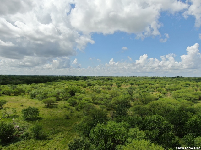 Listing photo id 4 for Tbd Cr 208  