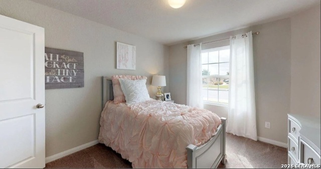 Image 12 of 18 For 2810 Calandra Lark