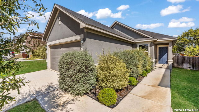 Image 2 of 16 For 11727 Black Rose