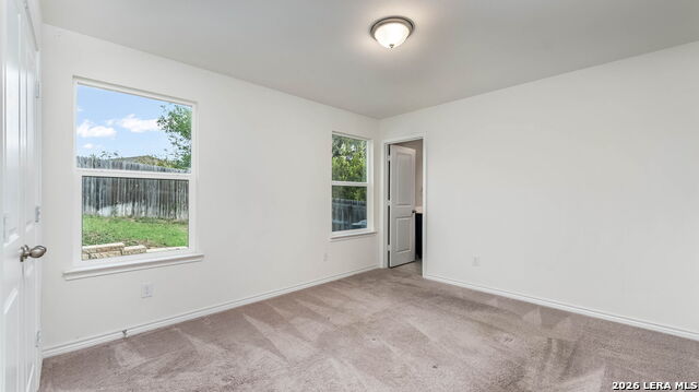 Image 3 of 16 For 11727 Black Rose