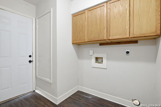 Image 21 of 27 For 2703 Red Tree