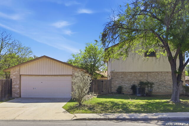 Image 26 of 27 For 2703 Red Tree