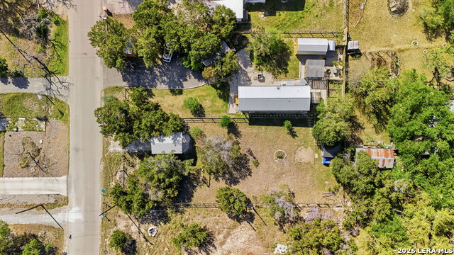 Image 35 of 36 For 1956 Live Oak