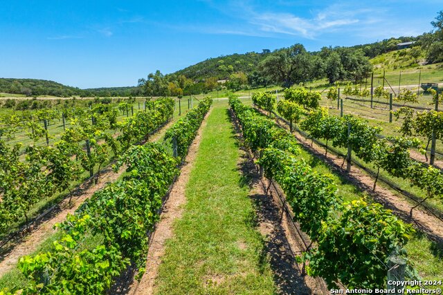 Image 45 of 60 For 5081 Texas 173