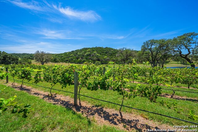 Image 46 of 60 For 5081 Texas 173